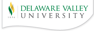 DelVallogo.png