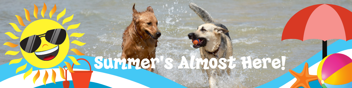 Banner-June2019.png