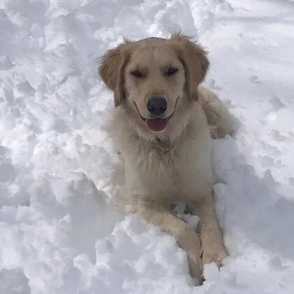 Josie