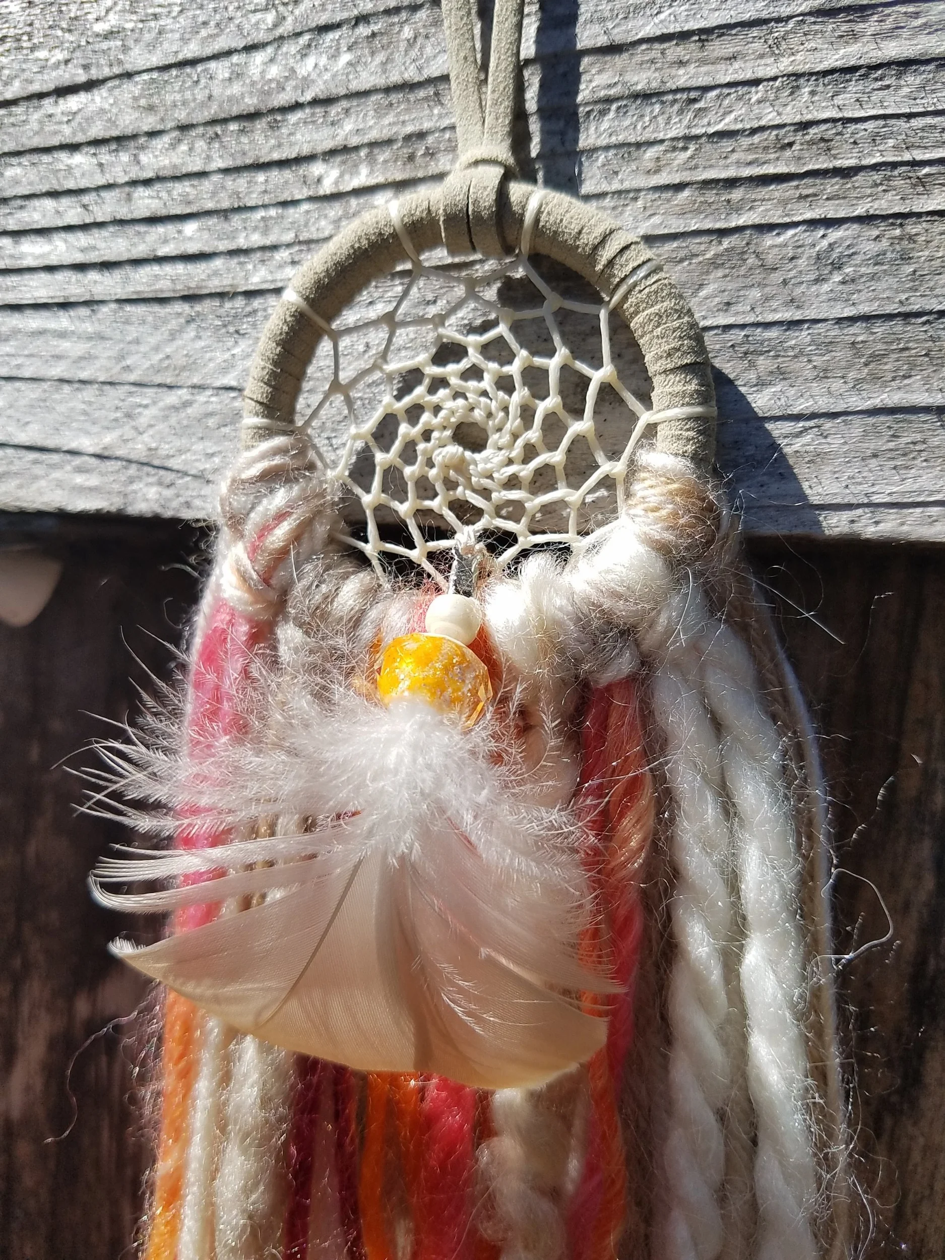 20190604_102902.jpg