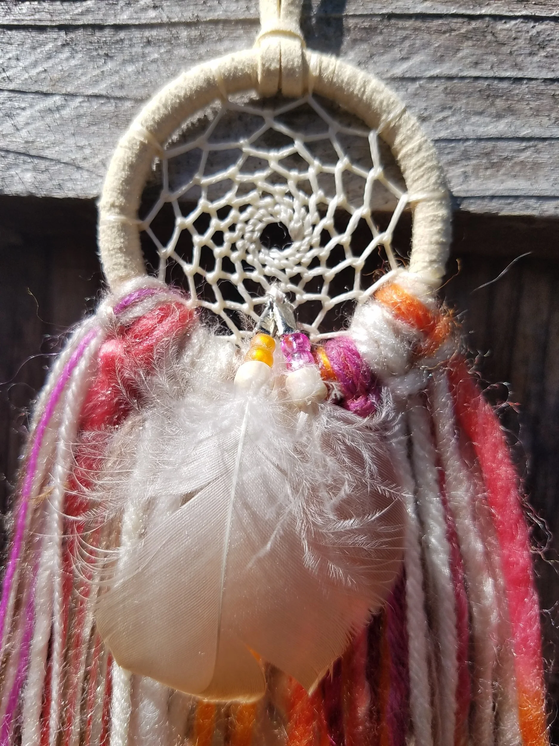 20190604_102943.jpg