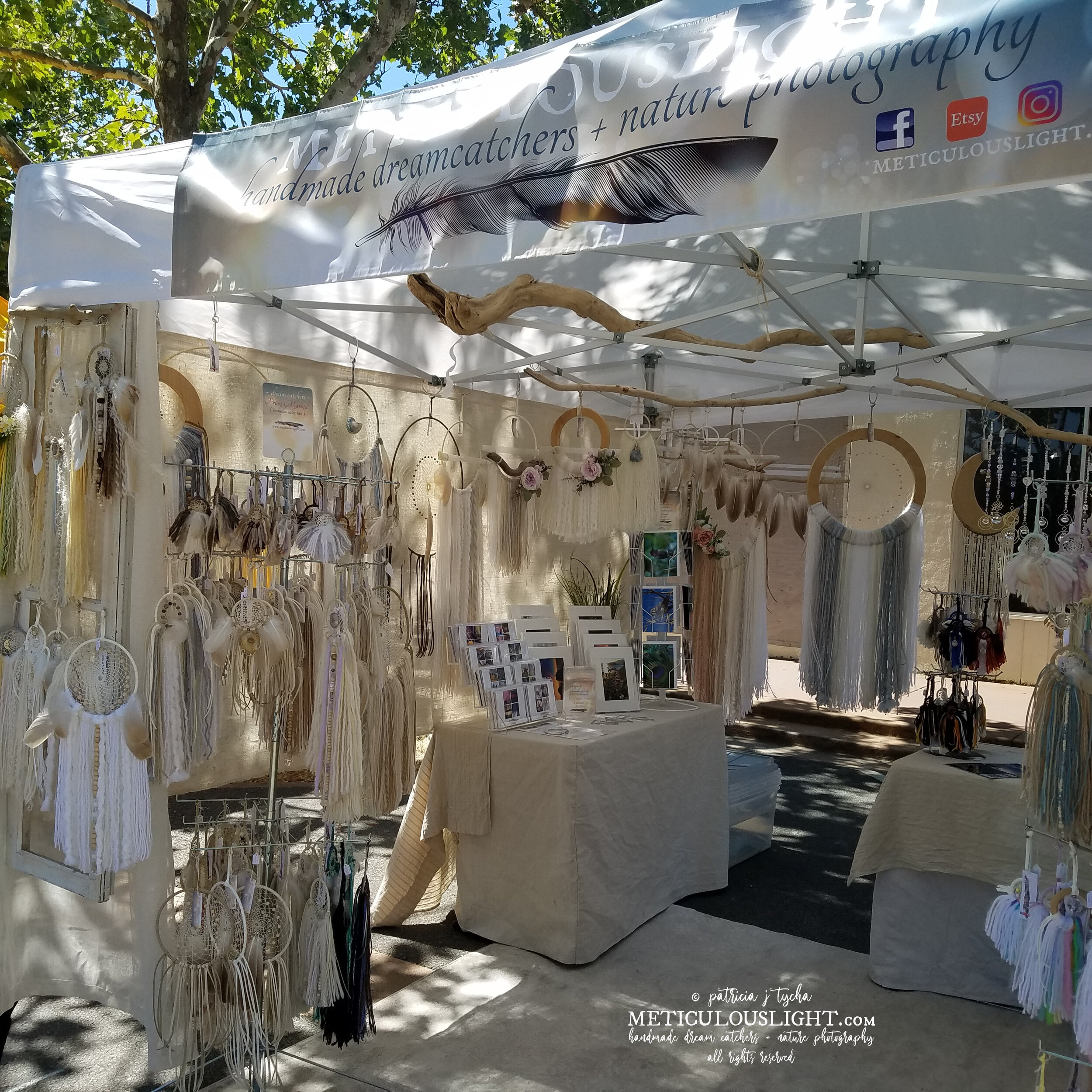 © patricia j tyrcha 2021 Novato Art Stroll METICULOUSLIGHT dream catchers + crystal sun catchers + original photography ALL RIGHTS RESERVEDA.jpg