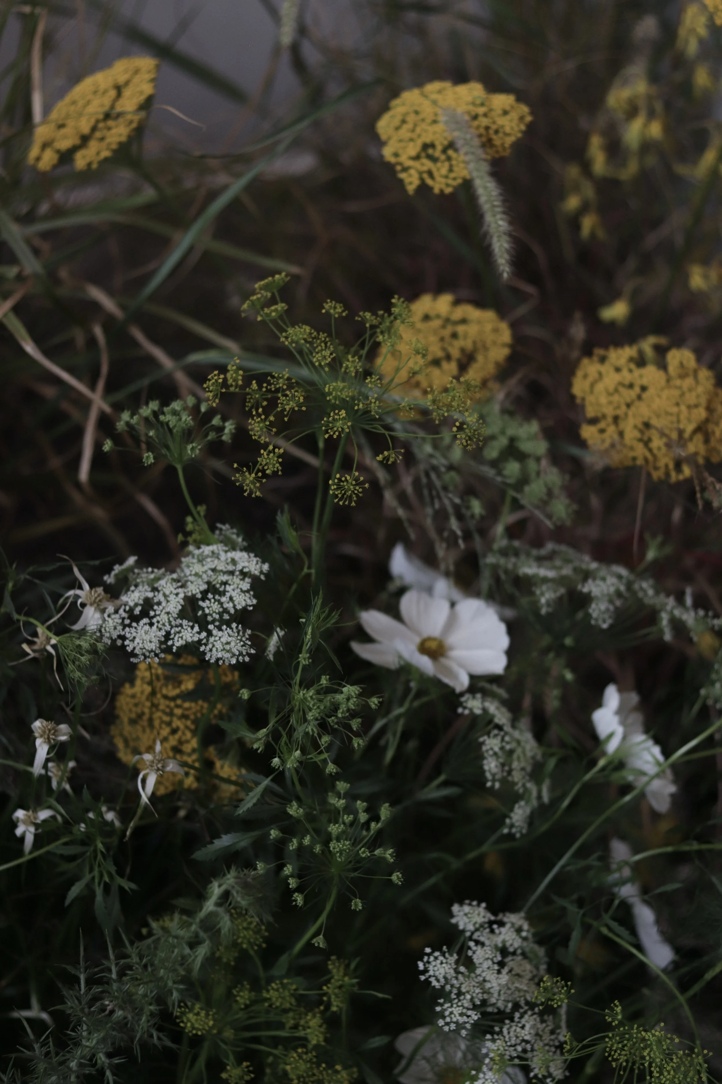 A91CE03E-F7F4-48C4-AF52-96960CAD9FCD_1_201_a.jpeg