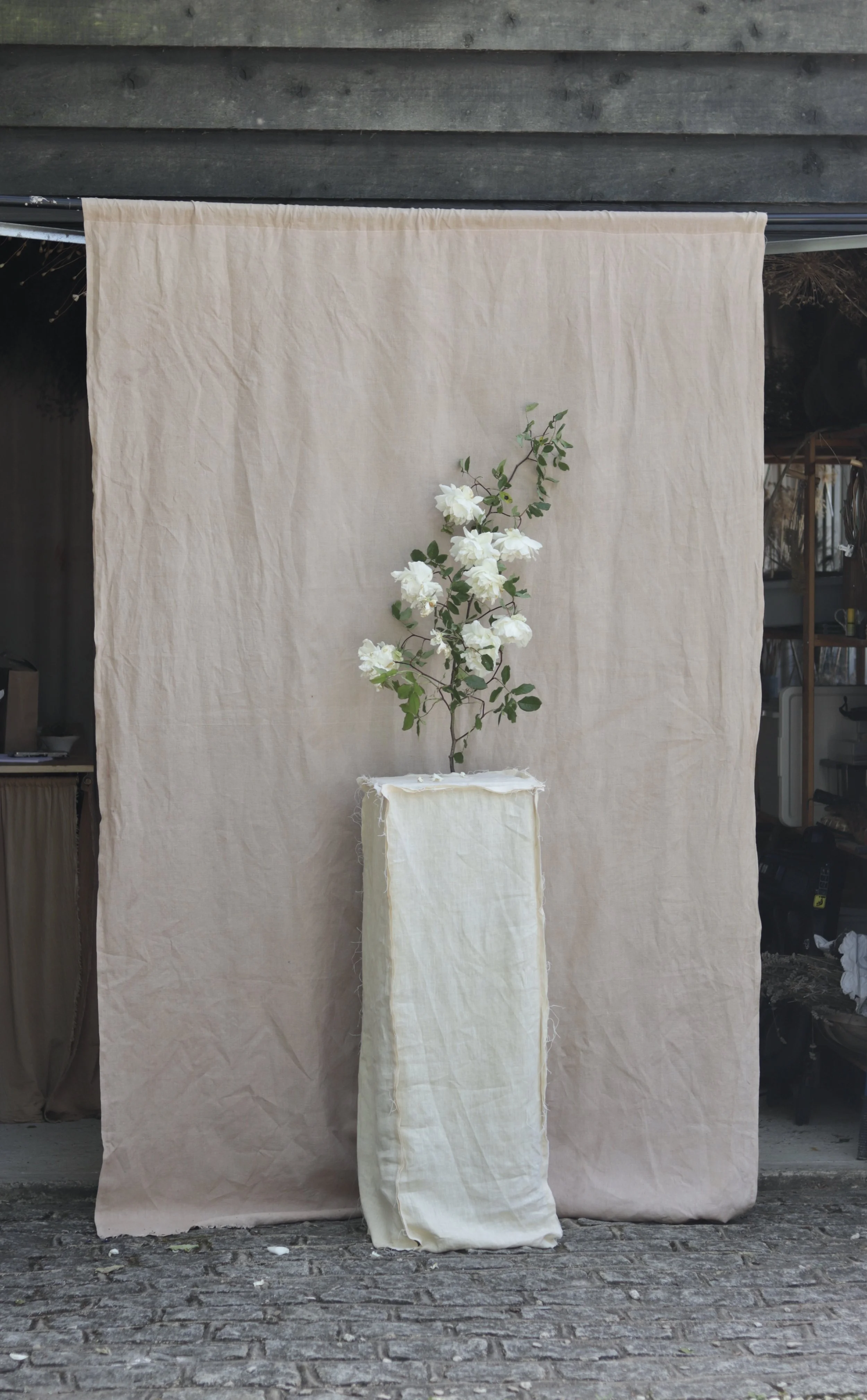 59477AB4-D9D9-446C-8D96-DC753873DA41_1_201_a.jpeg
