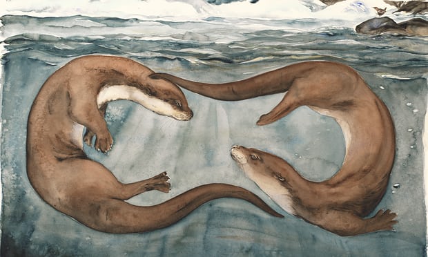 Otters from The Lost Words. Photograph: Jackie Morris.