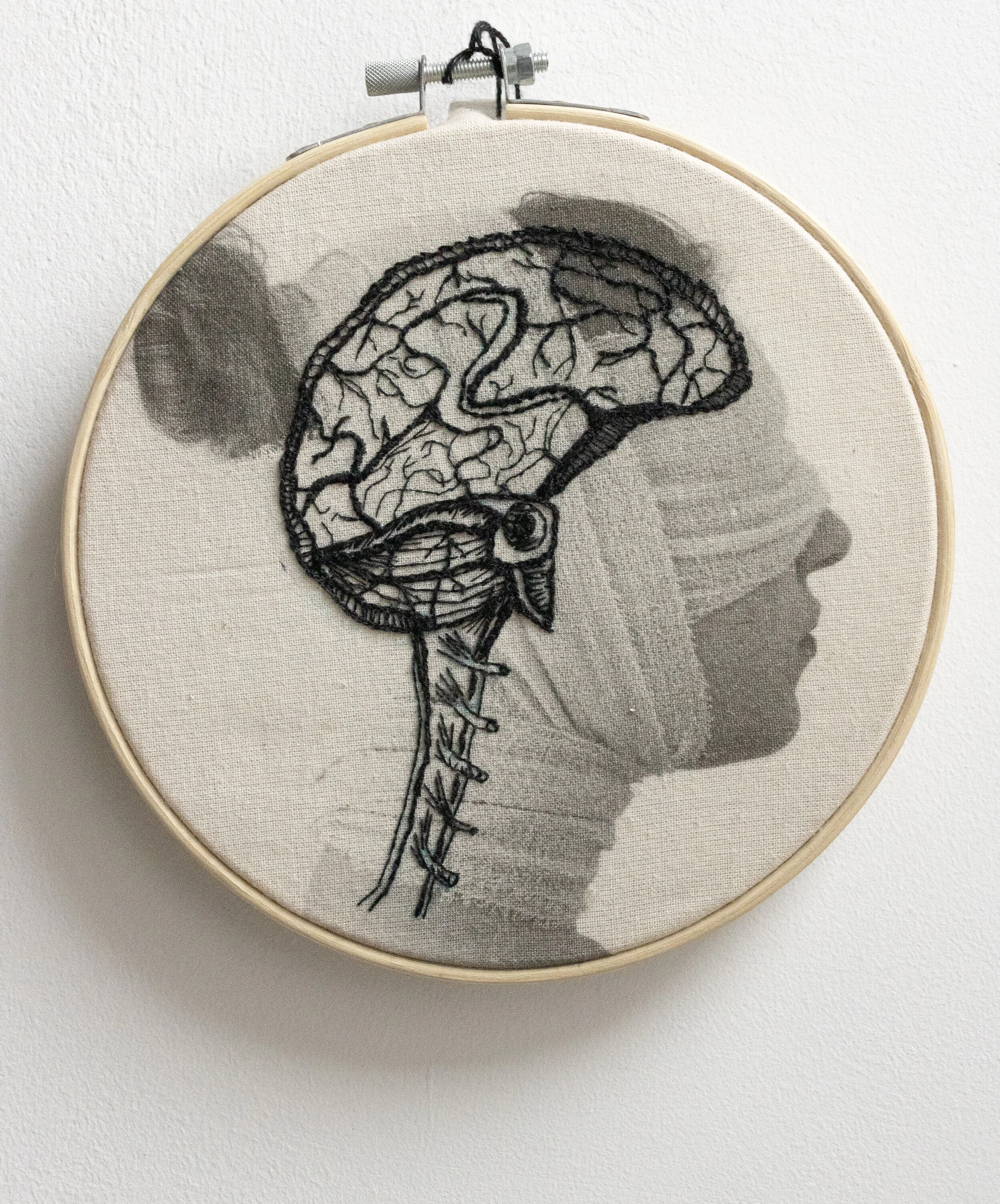 Brain.jpg