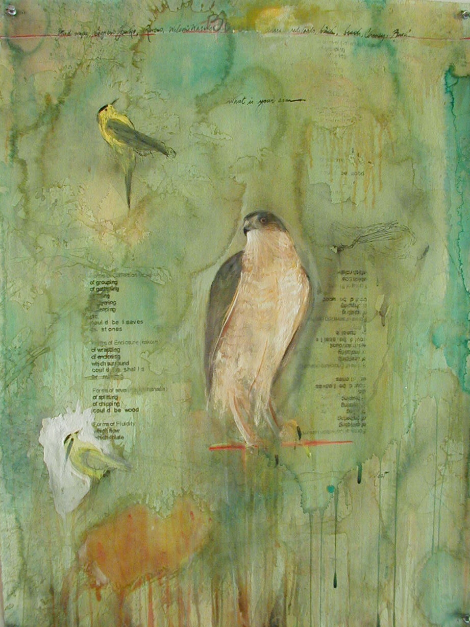  "Bird Map # 2", 2001 Casein and ink on paper 30" x 22" 