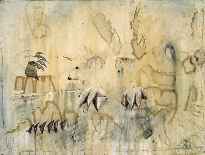  "Cockscomb", 1998 Casein and ink on paper 41" x 56"  