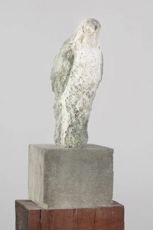  "Fossil Bird," 2010  Limestone and recycled redwood 