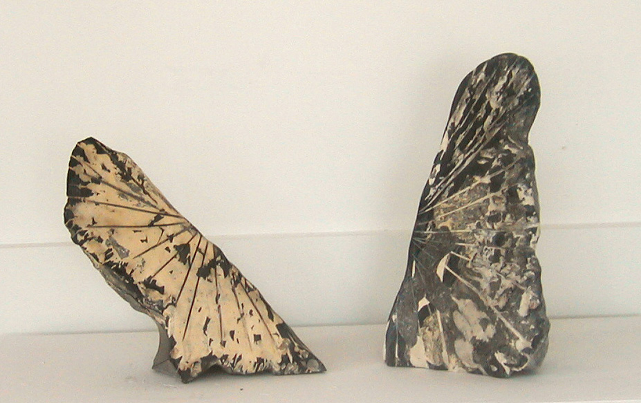 "Black Wings (for Red)," 2005 Black Portuguese Marble with Marble Mix Inlay Dimensions Variable  