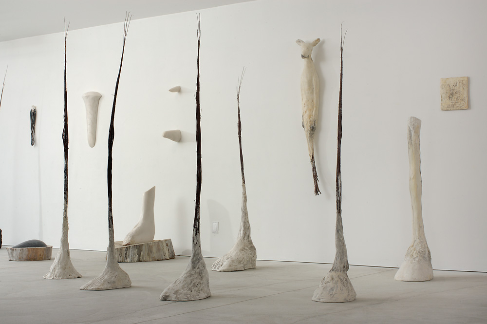  "Hooves," 2007 Installation 