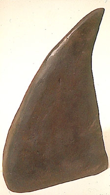  "Iron Beak," 1997 Cast iron 14 x 7 x 20 inches 