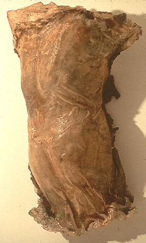  "Visible Woman," 1994 Resin 64 x 36 x 16 inches 