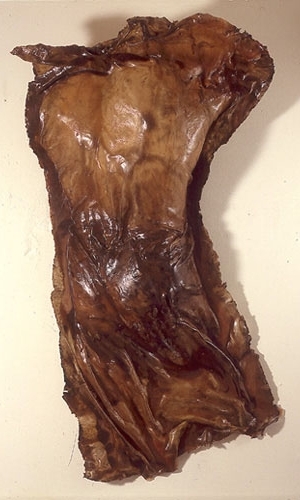  "Visible Man," 1995 Resin 67 x 36 x 16 inches  