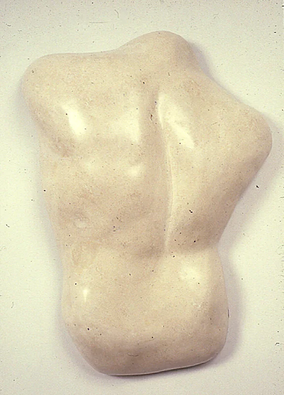  "Ivory Back," 1980 Mixed media 29 x 21 x 7 inches 