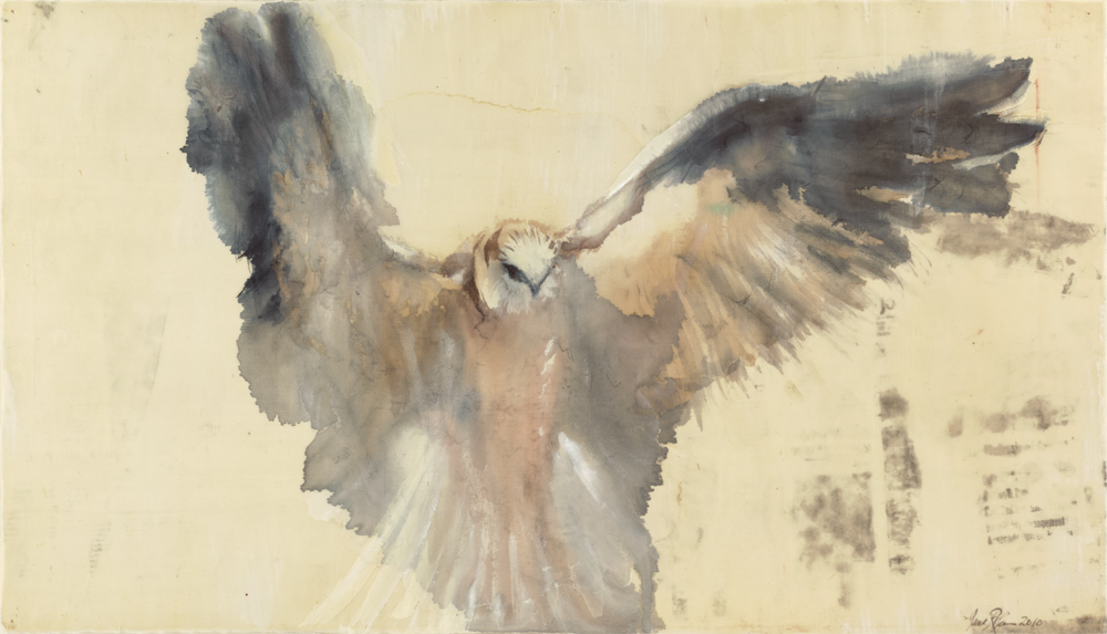 "White Kite," 2013 Archival pigment print on German etching paper 16 x 28 inches, Edition of 20  