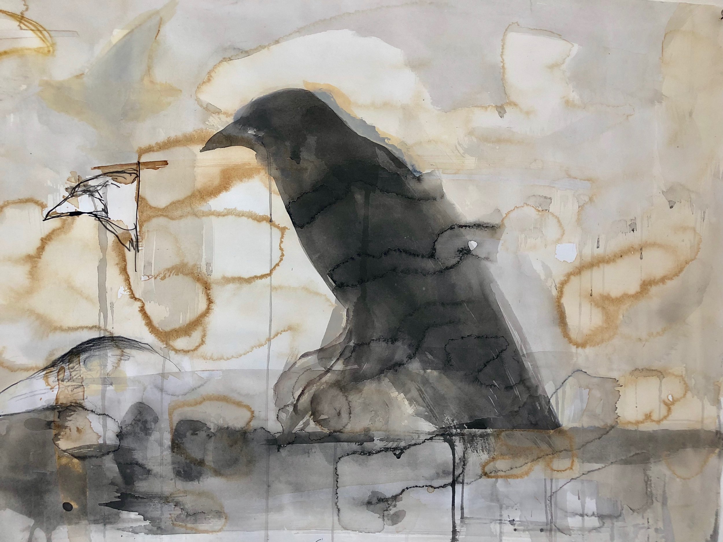  “Raven Beak Study” 2016  Coffee, sumi ink and casein  22 x 30 inches 