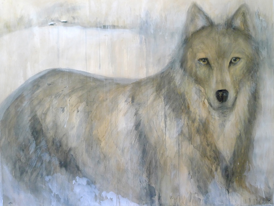  "Gray Wolf," 2012 Coffee, sumi-e ink and watercolor 42 x 52 inches 