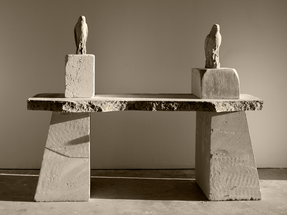  "Pescadero Bird" and "French Saw" Installation, 2013 Pigmented limestone  