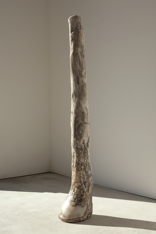  "Glass Hoof," 2009 Hand blown glass and marble mix 53 x 9 x 7 inches 