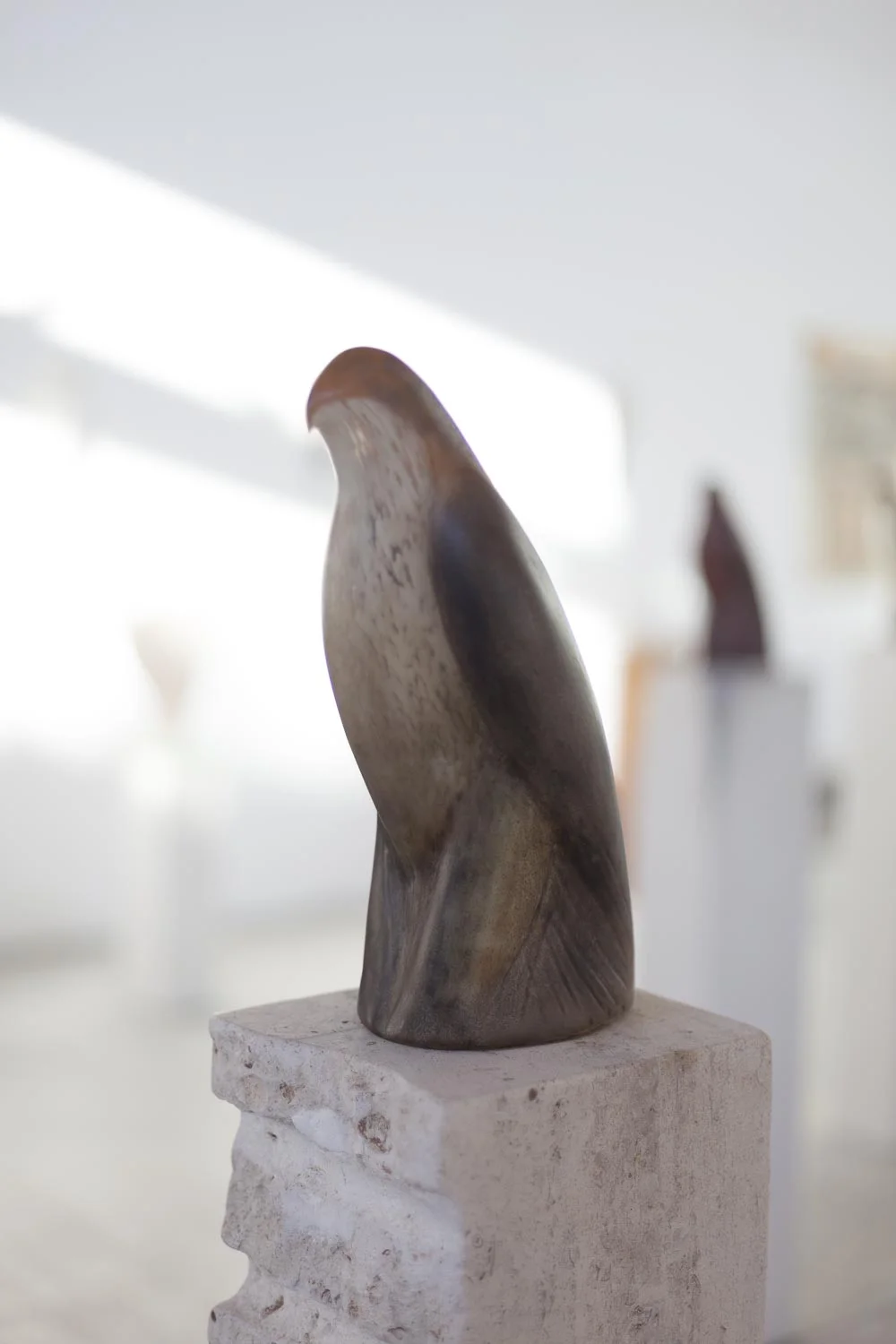 Cashbird_on_ladder_figure_sideview.jpg