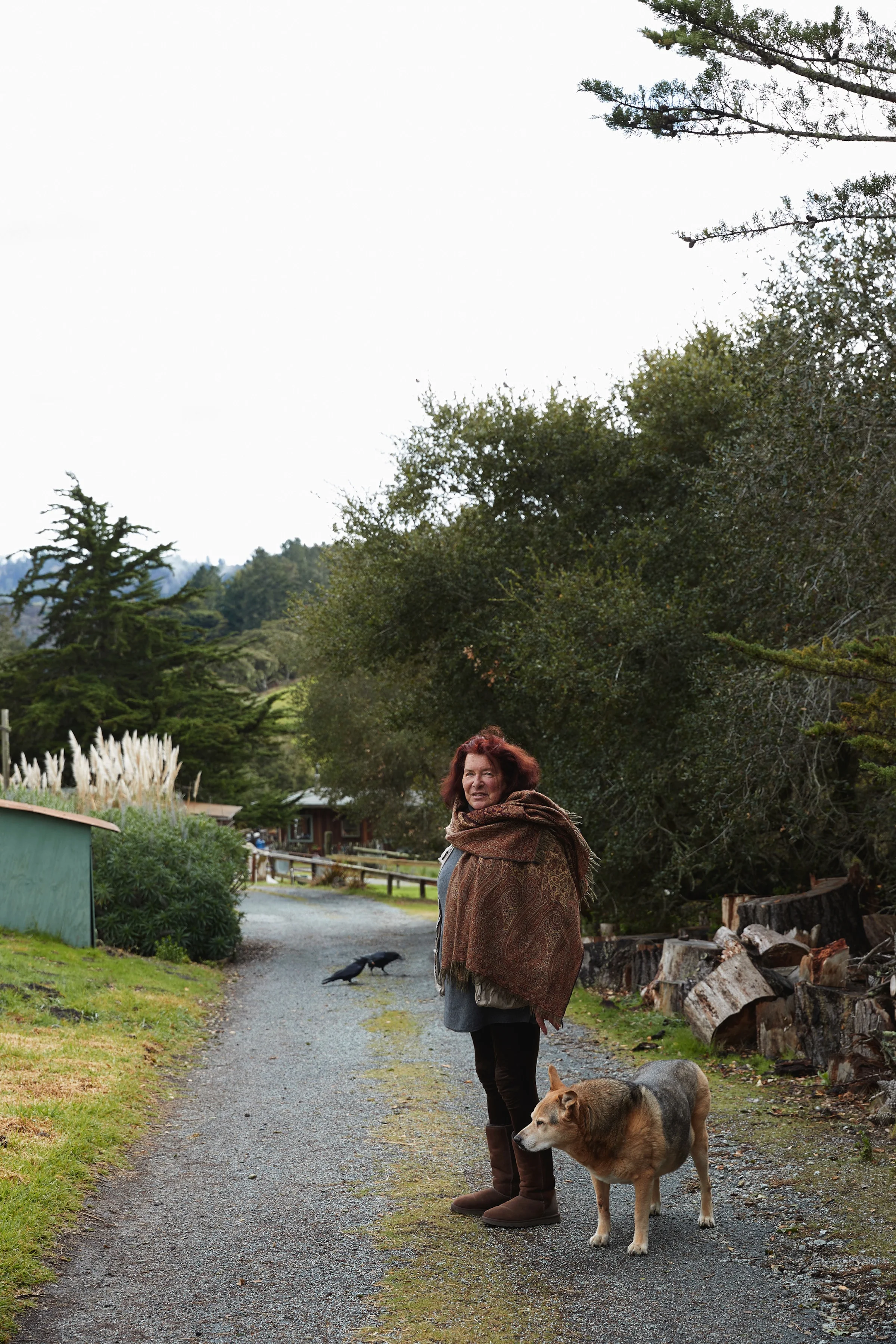 Photo by Laurie Frankel