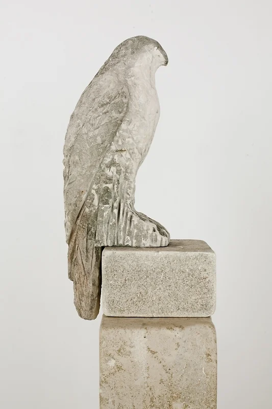 pale_goshawk-3852-lg.jpg