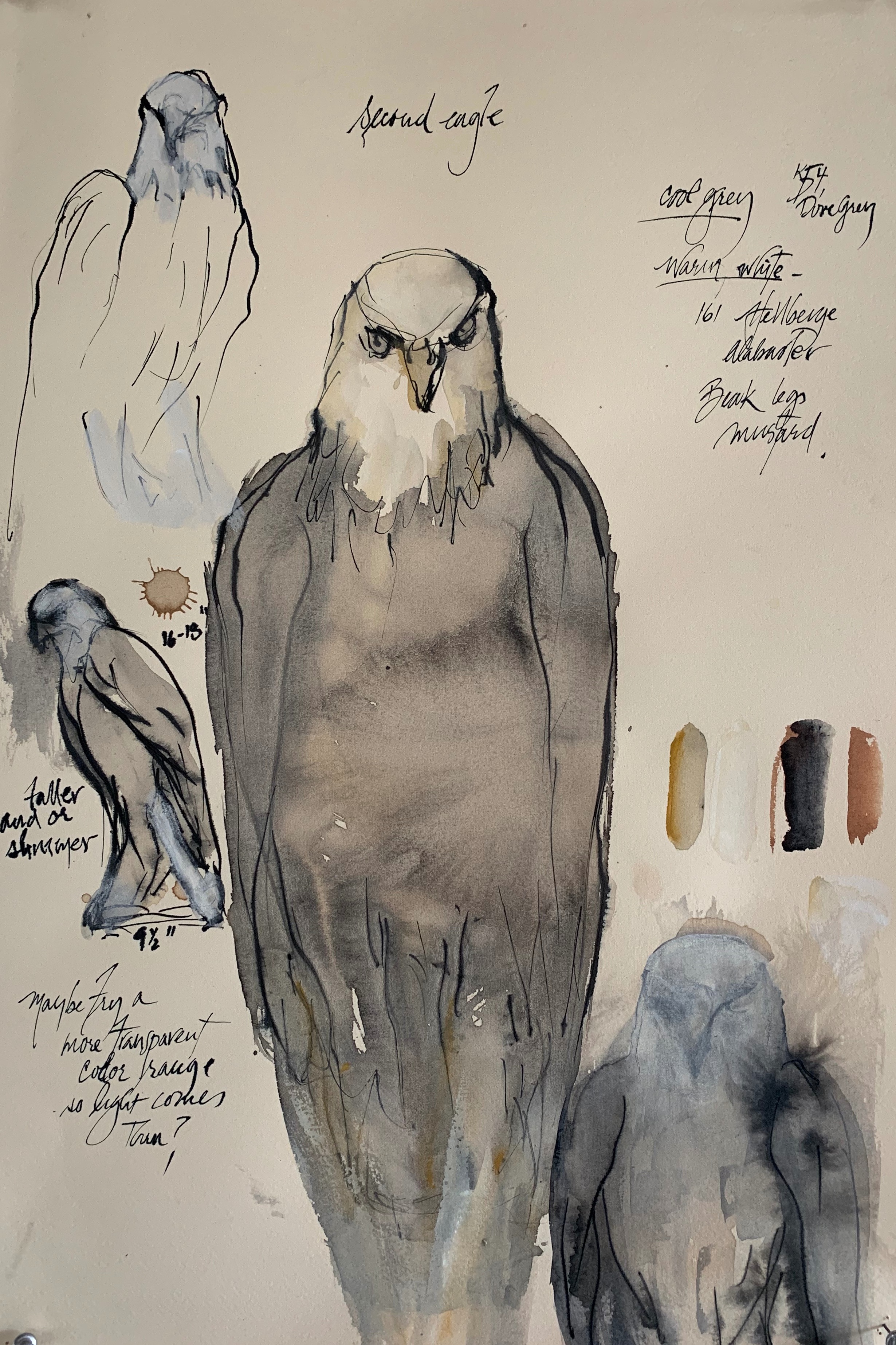  “Second Eagle Study,” 2019  Ink, coffee and gouache 22 x 15 inches  