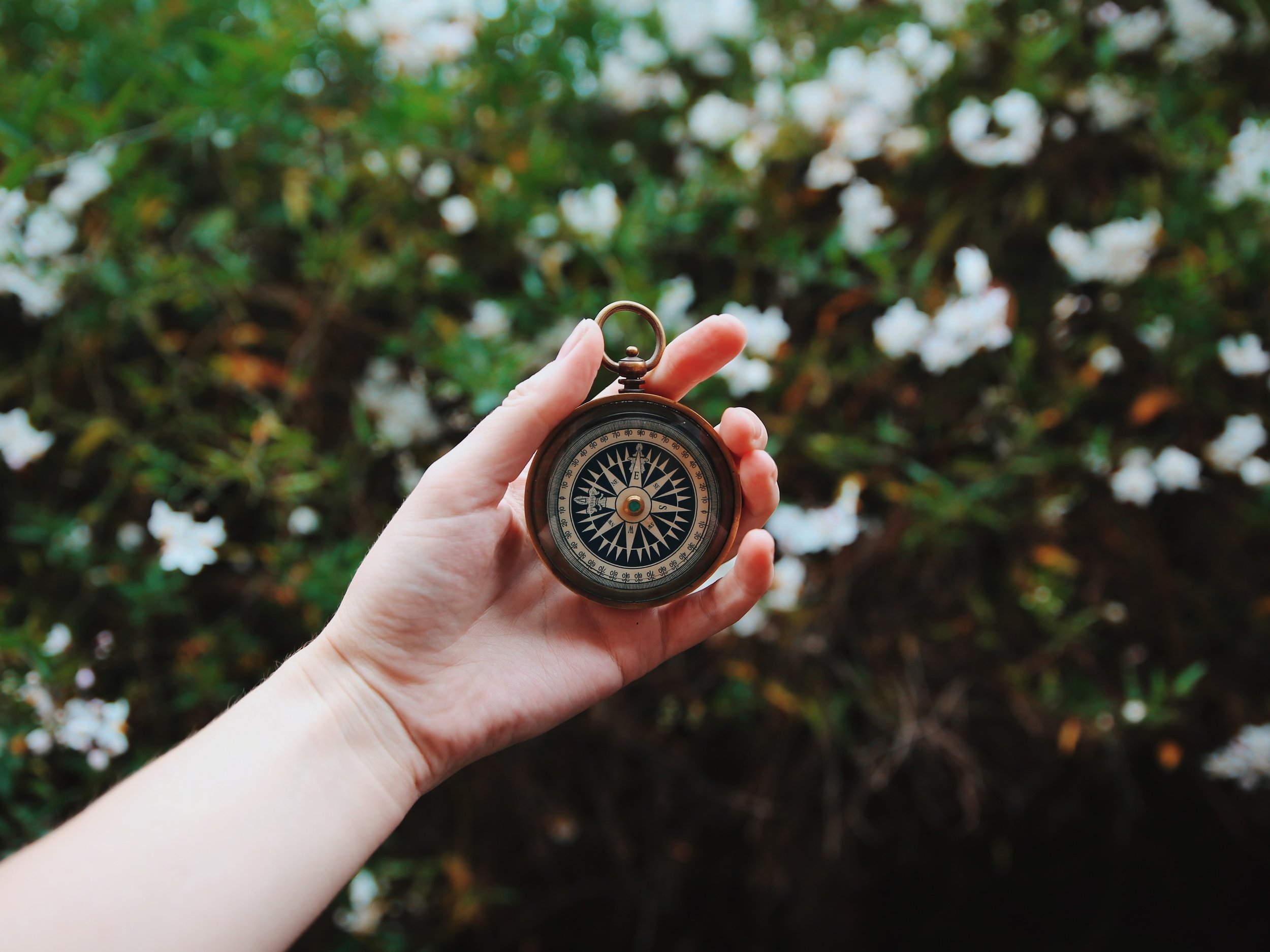 heidi-sandstrom-259886-unsplash2.jpg