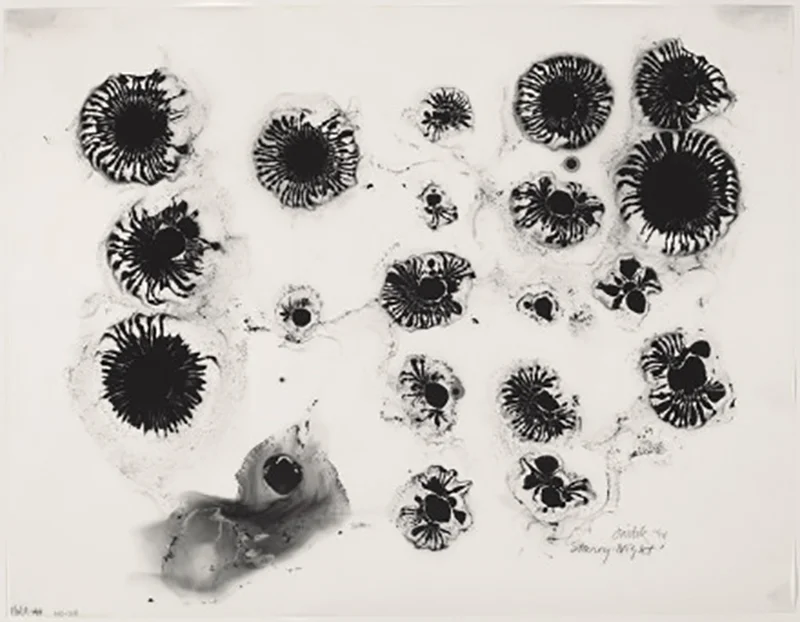 Starry Night (WC-21), 1994
