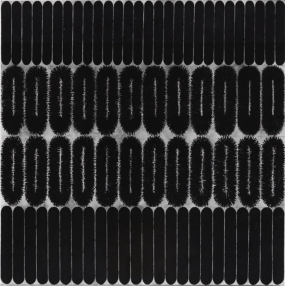 “Camouflaged by Frailities (P(S)-27)," 1984