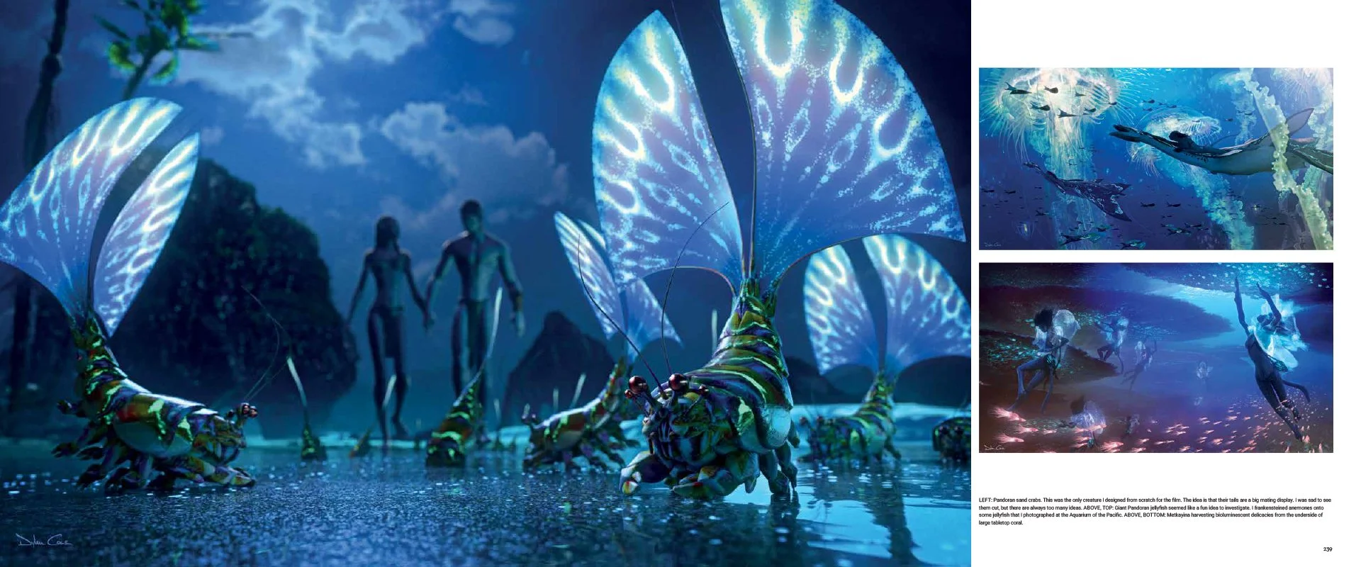 ATWOW_SandCrabs.jpg