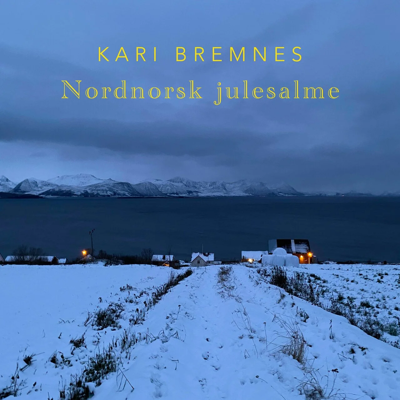 Kari Bremnes - Nordnorsk julesalme.jpg