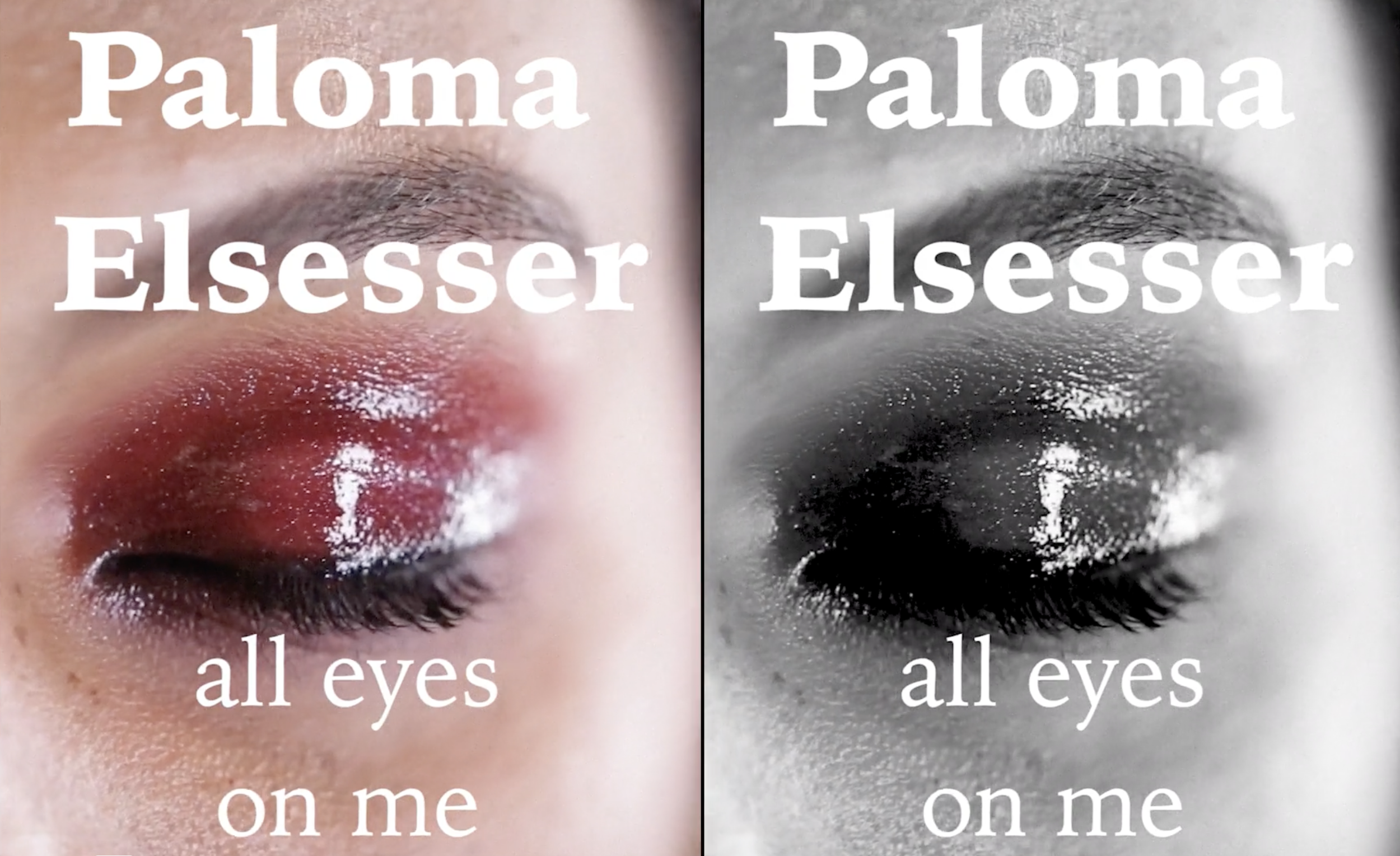PALOMA - Editorial