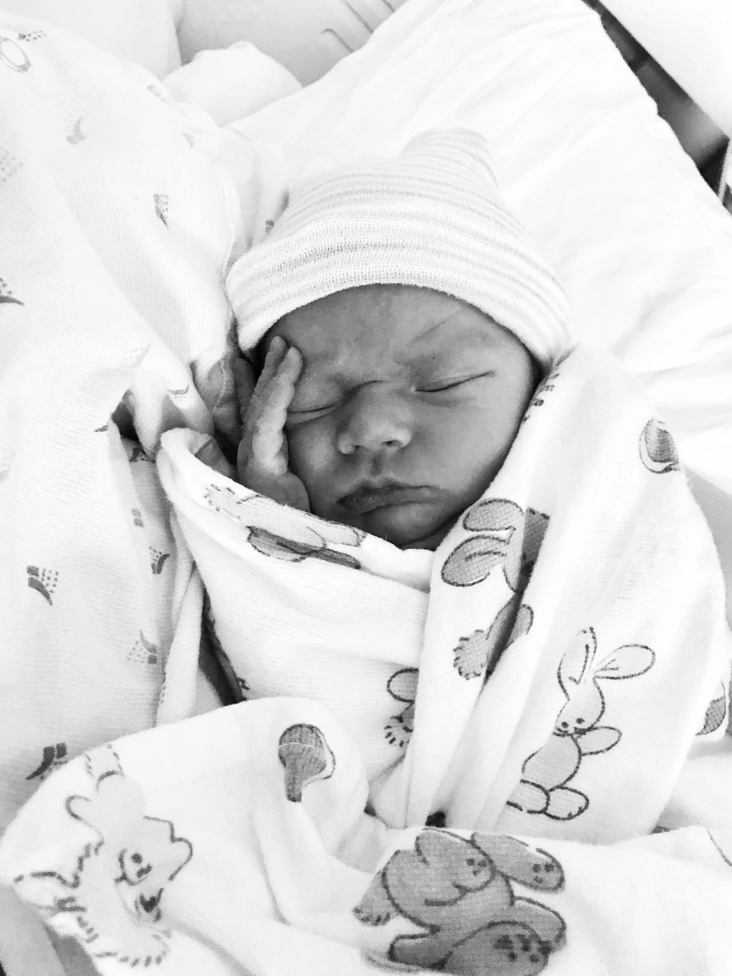 2018-01-17_10-05-24_541 (2018-01-24T04_22_49.444).jpeg