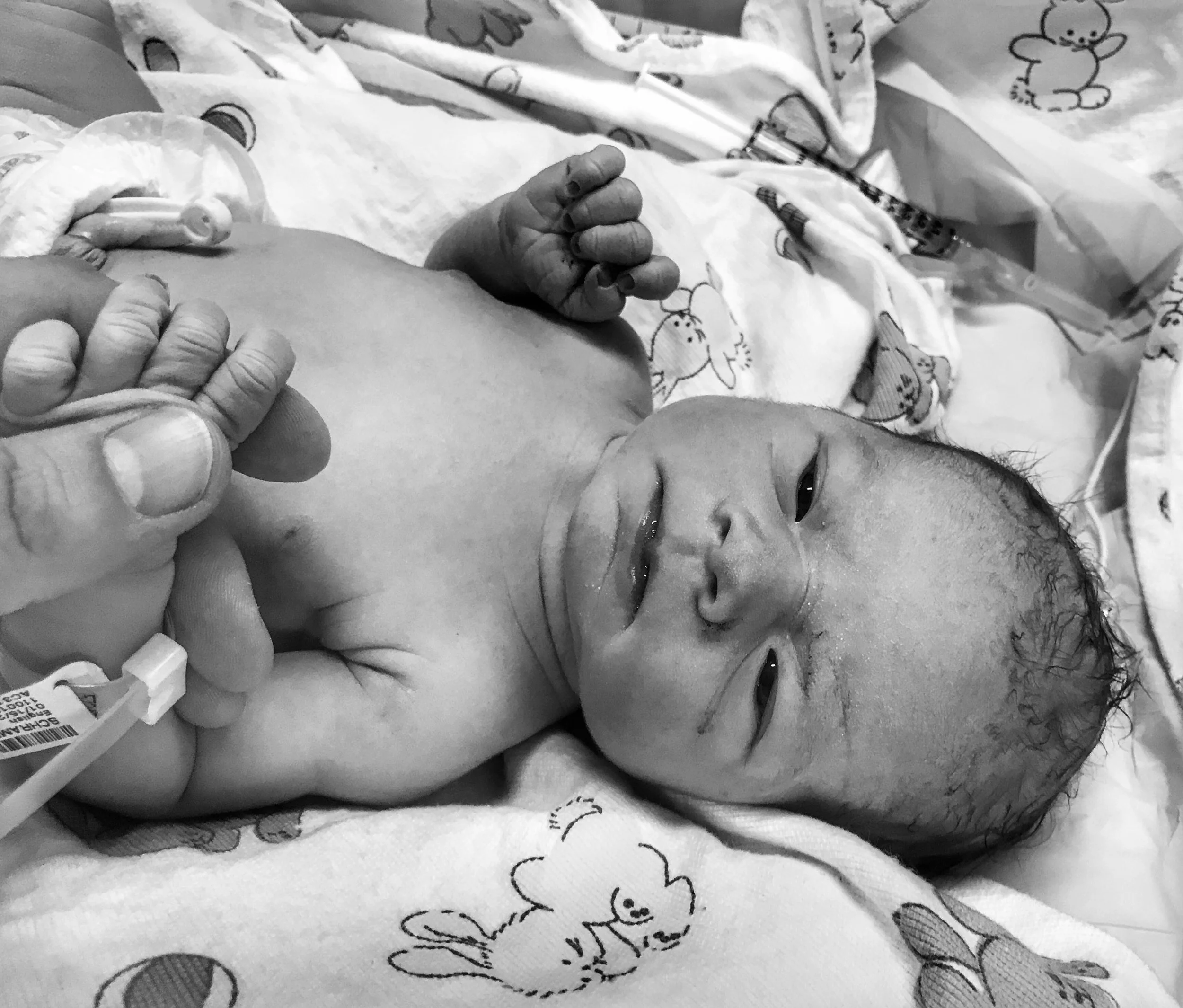 2018-01-15_13-06-13_946 (2018-01-19T02_23_39.873).jpeg