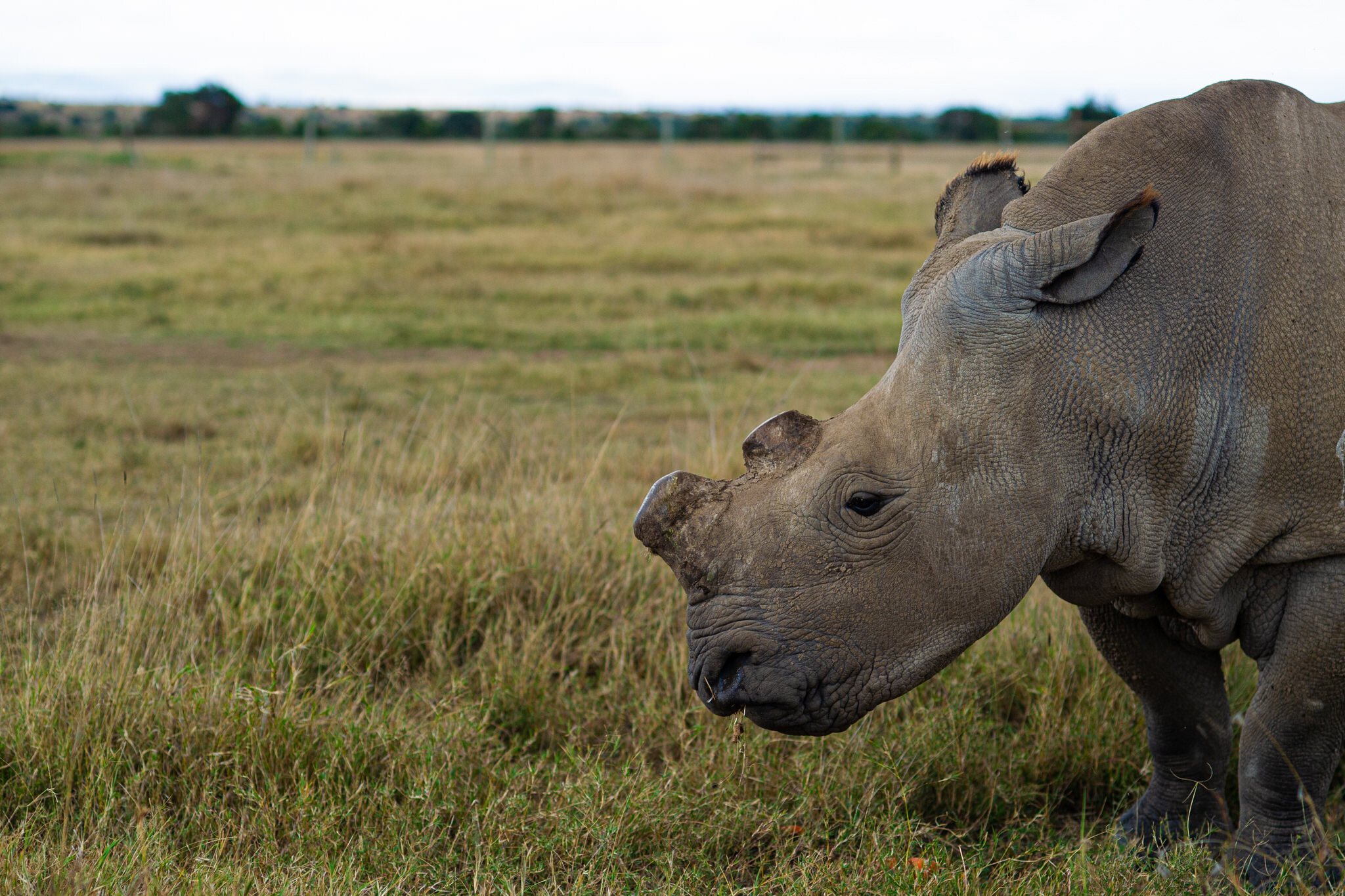 wildlife-photographer-denver-colorado030.JPG