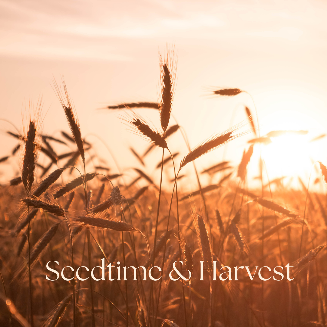 Seedtime and Harvest: Sowing Seeds