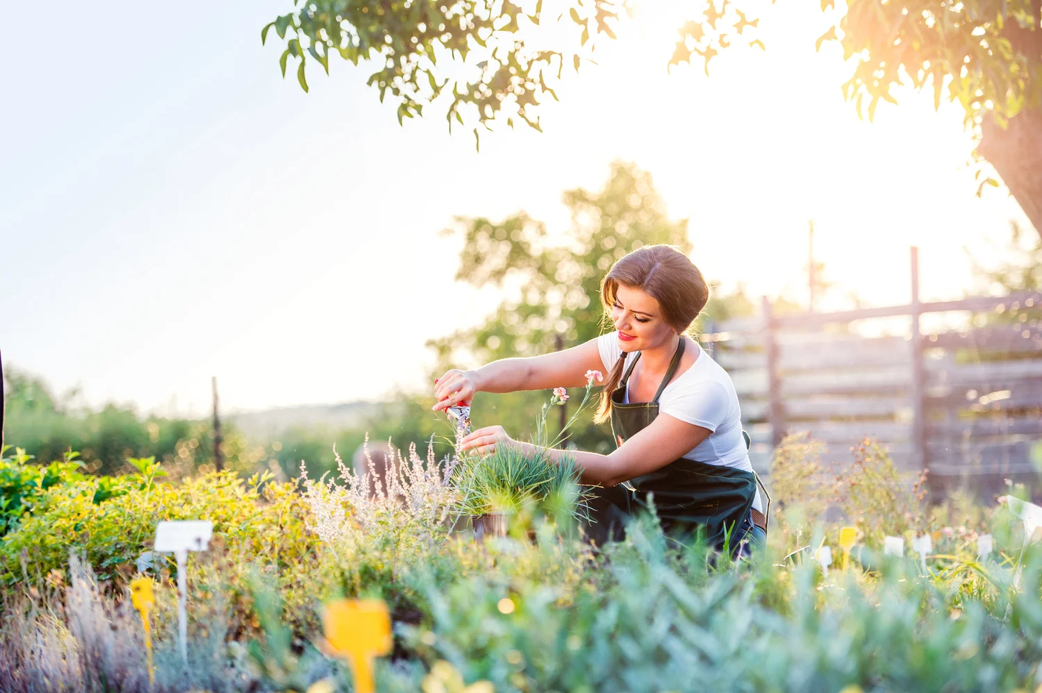 Gardening — Pure Garden