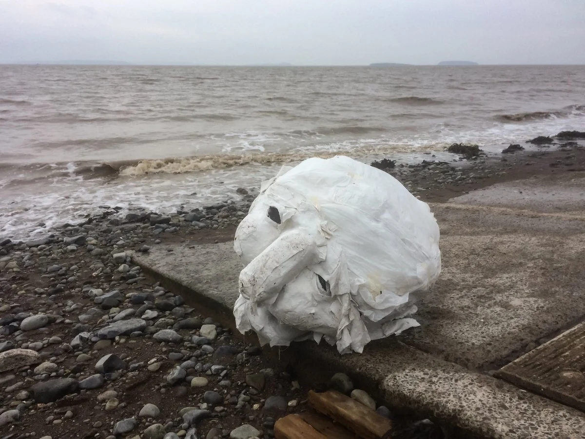 Pen Bendigeidfran Traeth Penarth EK.jpg