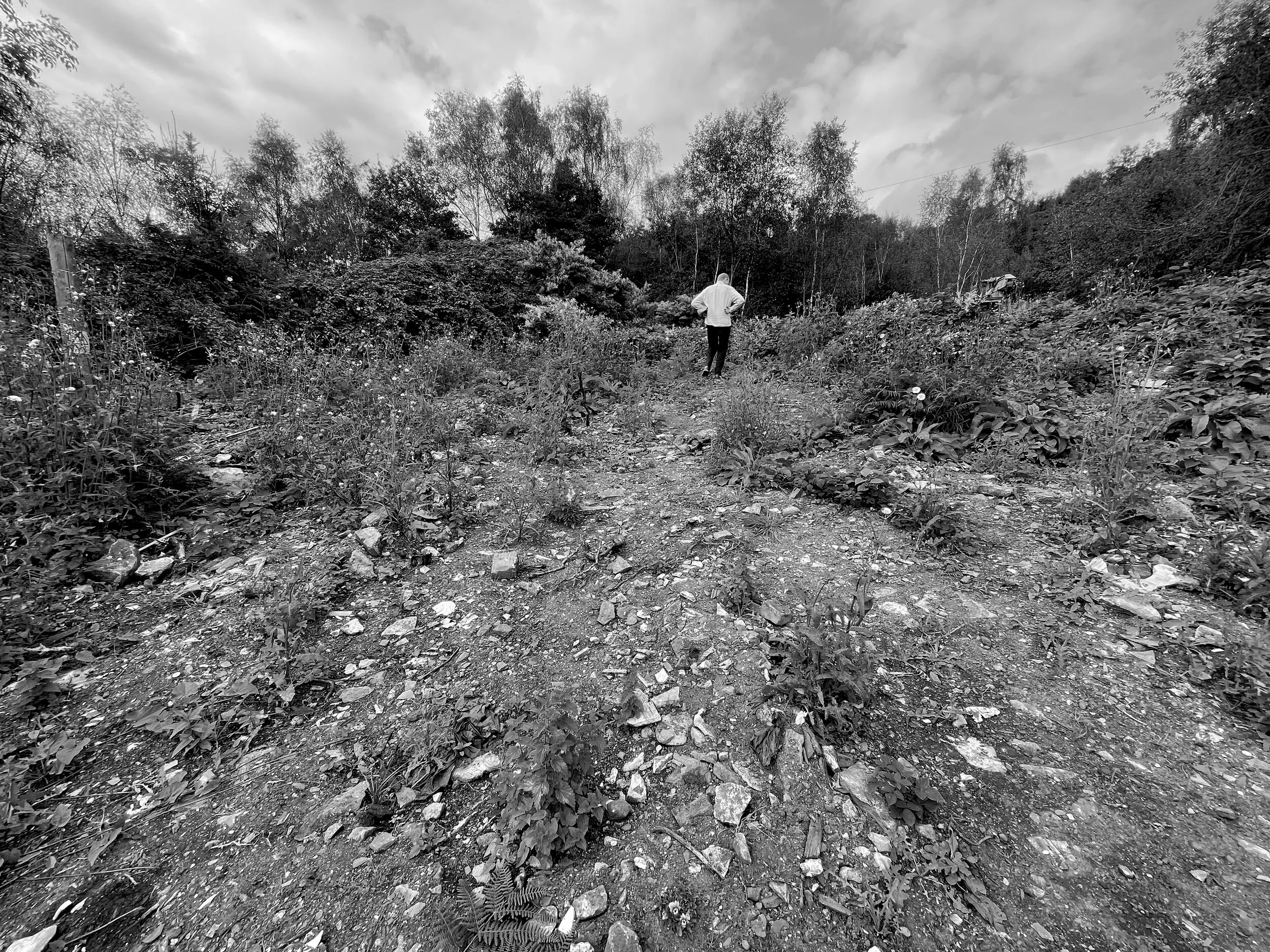 Ivor in Quarry White shirt.jpg