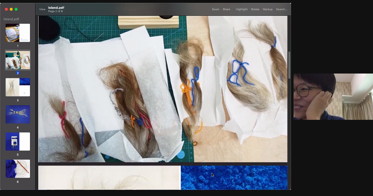 Zoom with Ren Jie Ivor's Hair.png