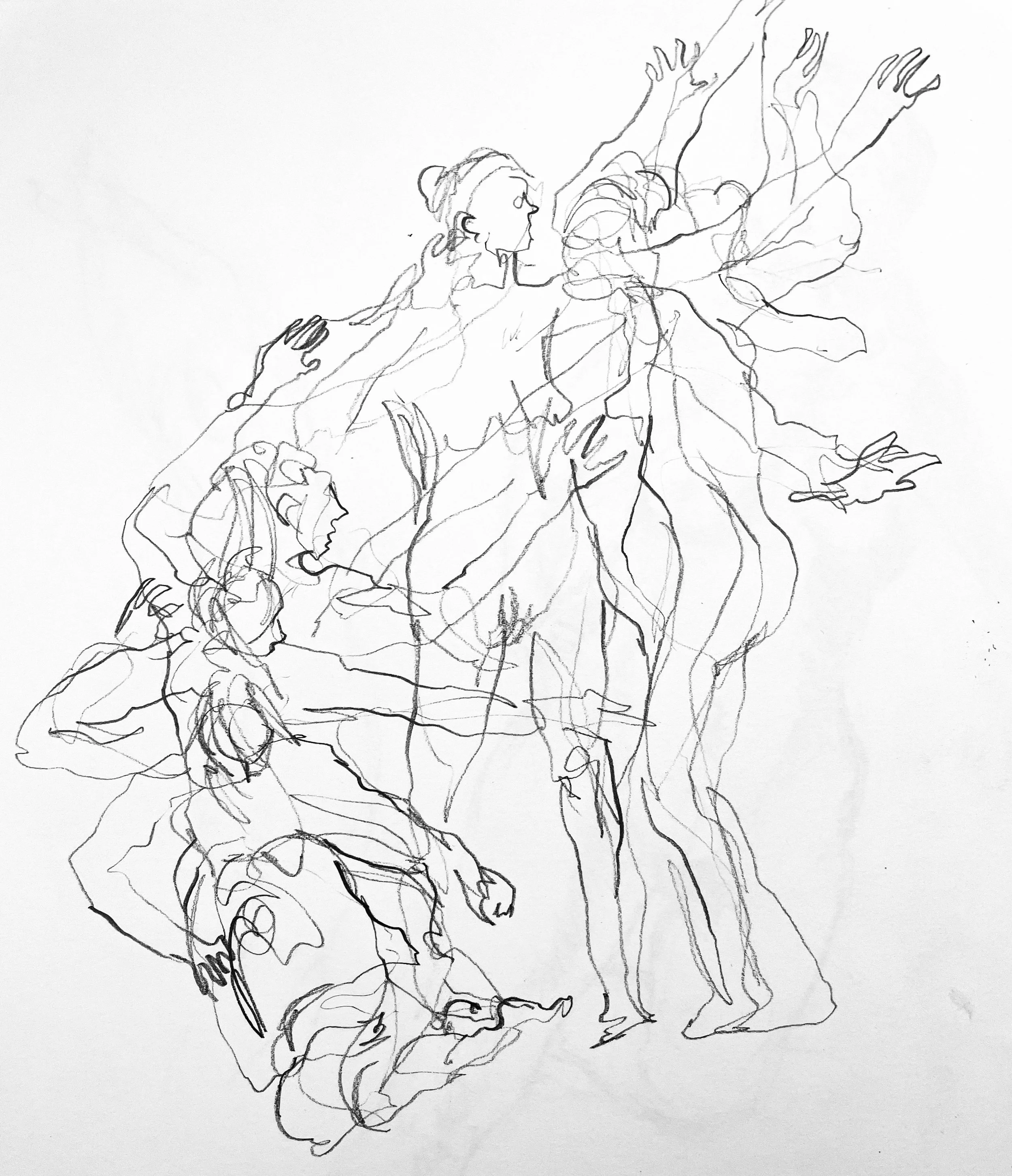 Penelope multipose.jpeg