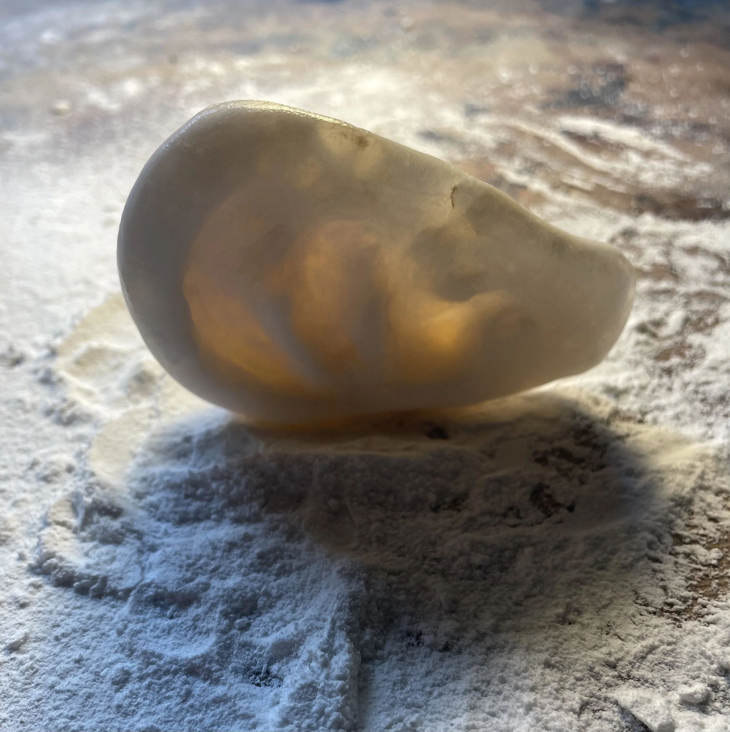 Alabaster Ear CG.jpg