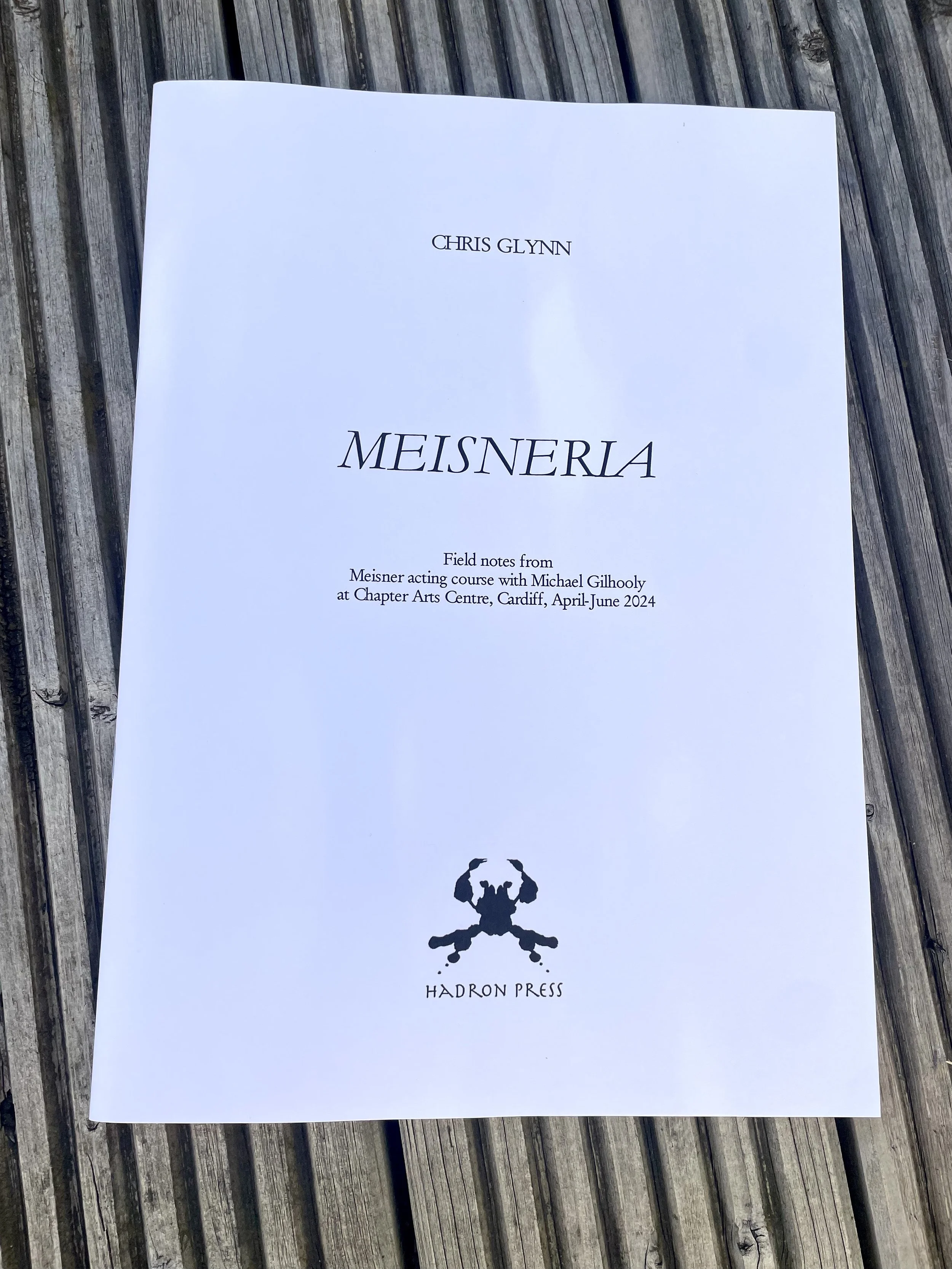 Meisneria booklet cover.jpg