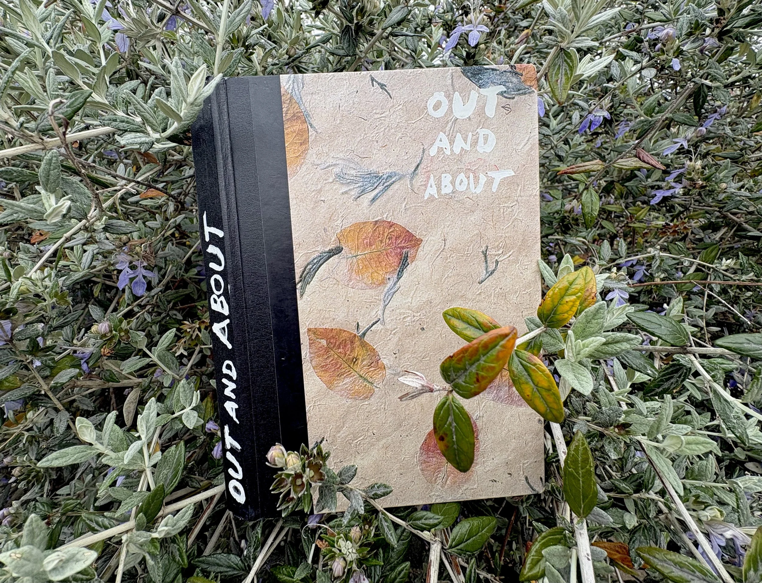 05 CG Out and About.jpeg