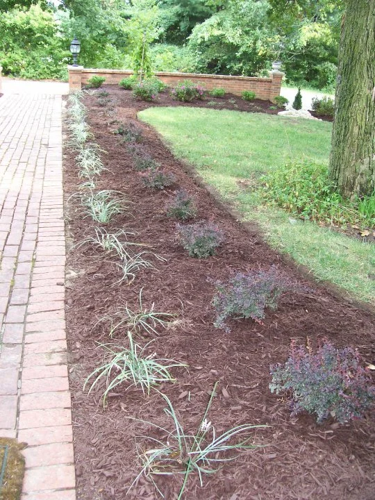 Hort 7.jpg
