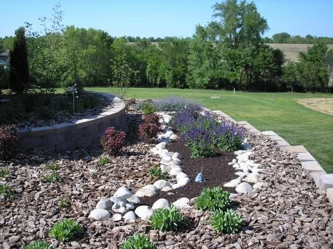 Hort 11.jpg