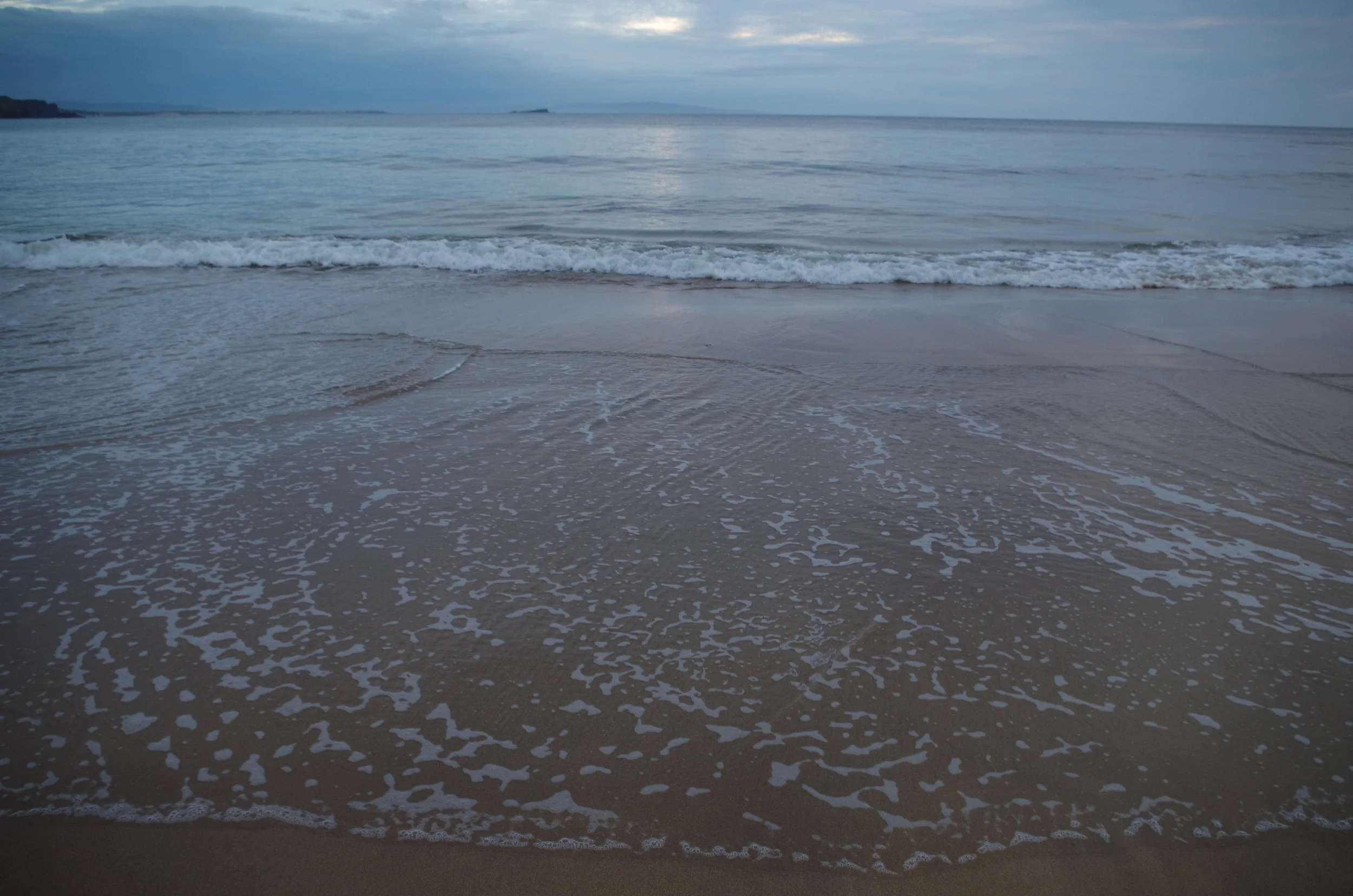 IMGP7417.jpg