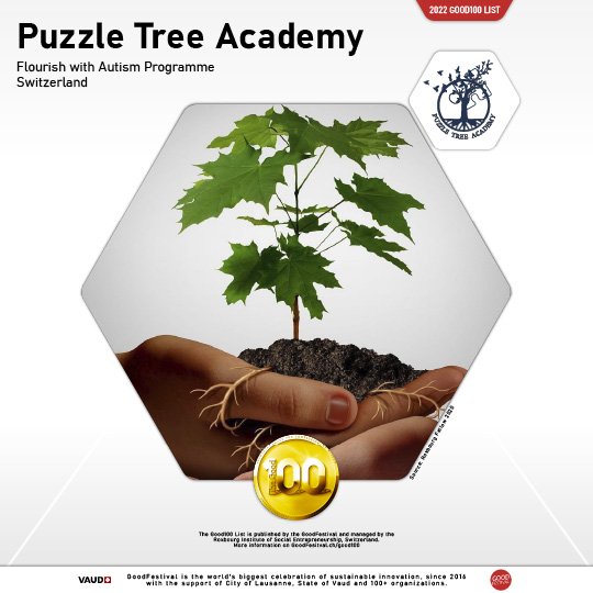 18_Puzzle Tree Academy.jpg